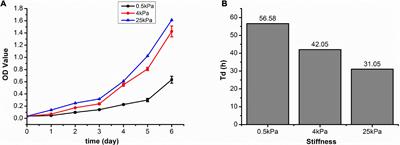 Substrate Stiffness Modulates the Growth, Phenotype, and Chemoresistance of Ovarian Cancer Cells